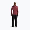 Bluza męska Icebreaker Merino 260 Quantum IV LS Zip Hoodie port/agate 5