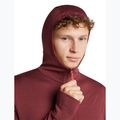 Bluza męska Icebreaker Merino 260 Quantum IV LS Zip Hoodie port/agate 6