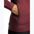 Bluza męska Icebreaker Merino 260 Quantum IV LS Zip Hoodie port/agate 9