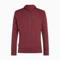 Bluza męska Icebreaker Merino 260 Quantum IV LS Zip Hoodie port/agate 10
