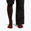 Skarpety narciarskie męskie icebreaker Merino Ski+ Medium OTC bittersweet/port/black 3