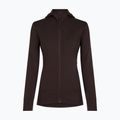 Bluza damska Icebreaker Merino 260 Quantum IV LS Zip Hoodie bittersweet 9