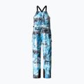 Spodnie snowboardowe męskie The North Face Printed Dragline Bib norse blue 13