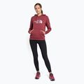 Bluza damska The North Face Drew Peak Pullover Hoodie wild ginger 2