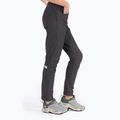 Spodnie trekkingowe damskie The North Face AO Winter Slim Straight asphalt grey 3