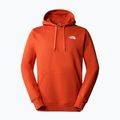 Bluza trekkingowa męska The North Face Outdoor Graphic Hoodie Light rusted bronze