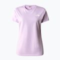 Koszulka trekkingowa damska The North Face Outdoor Graphic lupine 4
