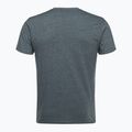 Koszulka męska 100% Icon heather grey 2