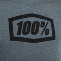 Koszulka męska 100% Icon heather grey 3