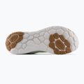 Buty do biegania męskie New Balance Fresh Foam Roav v2 green 14