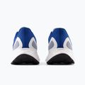 Buty do biegania męskie New Balance Fresh Foam Arishi v4 blue 14