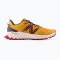 Buty do biegania męskie New Balance Fresh Foam Garoé yellow 12