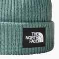 Czapka zimowa The North Face Salty dark sage 2