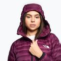 Kurtka puchowa damska The North Face Summit Breithorn Hoodie boysenberry 3