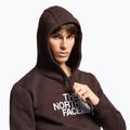 Bluza męska The North Face Drew Peak Pullover Hoodie coal brown 3