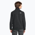 Bluza trekkingowa męska The North Face Homesafe Snap Neck Fleece Pullover black/black 2