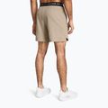 Spodenki treningowe męskie Under Armour UA Vanish Woven 6in timberwolf taupe/black 3