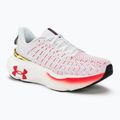 Buty do biegania damskie Under Armour Infinite Elite white/black/metallic gold