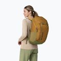 Plecak miejski Patagonia Black Hole Pack 32 l pufferfish gold 2