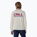 Longsleeve męski Patagonia Chill Responsibili brich white 2