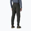 Spodnie trekkingowe męskie Patagonia Nano-Air Light Bottoms black 3