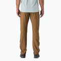 Spodnie trekkingowe męskie Patagonia Terravia Trail Regular coriander brown 2
