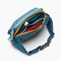 Saszetka nerka Cotopaxi Allpa X Hip Pack 1,5 l blue spruce/abyss 6