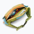 Saszetka nerka Cotopaxi Allpa X Hip Pack 1,5 l lemongrass/cedar 6