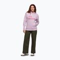 Bluza damska Cotopaxi Do Good Pullover Hoodie antique 2