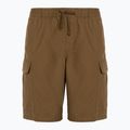 Spodenki męskie Vans Range Cargo Loose Short