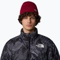 Czapka zimowa męska The North Face Norm Beanie beetroot 3