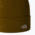 Czapka zimowa męska The North Face Norm Beanie moss green 2