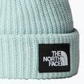 Czapka zimowa dziecięca The North Face Salty muted pine 2