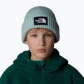 Czapka zimowa dziecięca The North Face Salty muted pine 4