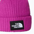 Czapka zimowa dziecięca The North Face Salty deep mulberry 2