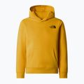 Bluza dziecięca The North Face Teen Redbox Regular P/O summit gold 3