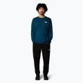 Longsleeve męski The North Face Simple Dome midnight petrol 2