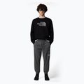 Bluza męska The North Face Drew Peak Crew black 2