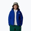 Kurtka dziecięca The North Face Reversible Perrito blue 4