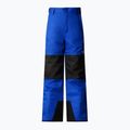 Spodnie narciarskie dziecięce The North Face Freedom Insulated blue 4