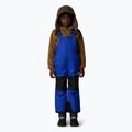 Spodnie narciarskie dziecięce The North Face Kid Freedom Insulated Bib blue