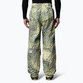 Spodnie narciarskie męskie The North Face Build Up nettle the lift print 3