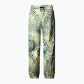 Spodnie narciarskie męskie The North Face Build Up nettle the lift print 4