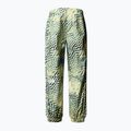 Spodnie narciarskie męskie The North Face Build Up nettle the lift print 5