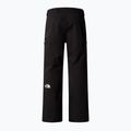 Spodnie narciarskie męskie The North Face Chakal Regular black 5