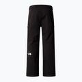 Spodnie narciarskie męskie The North Face Chakal Short black 5