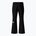 Spodnie narciarskie męskie The North Face Descendit black 5