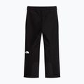 Spodnie narciarskie męskie The North Face Descendit tnf black 4