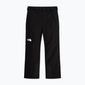 Spodnie narciarskie męskie The North Face Descendit tnf black 5