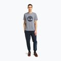 Koszulka męska Timberland Tfo Tree Logo folstone grey 2